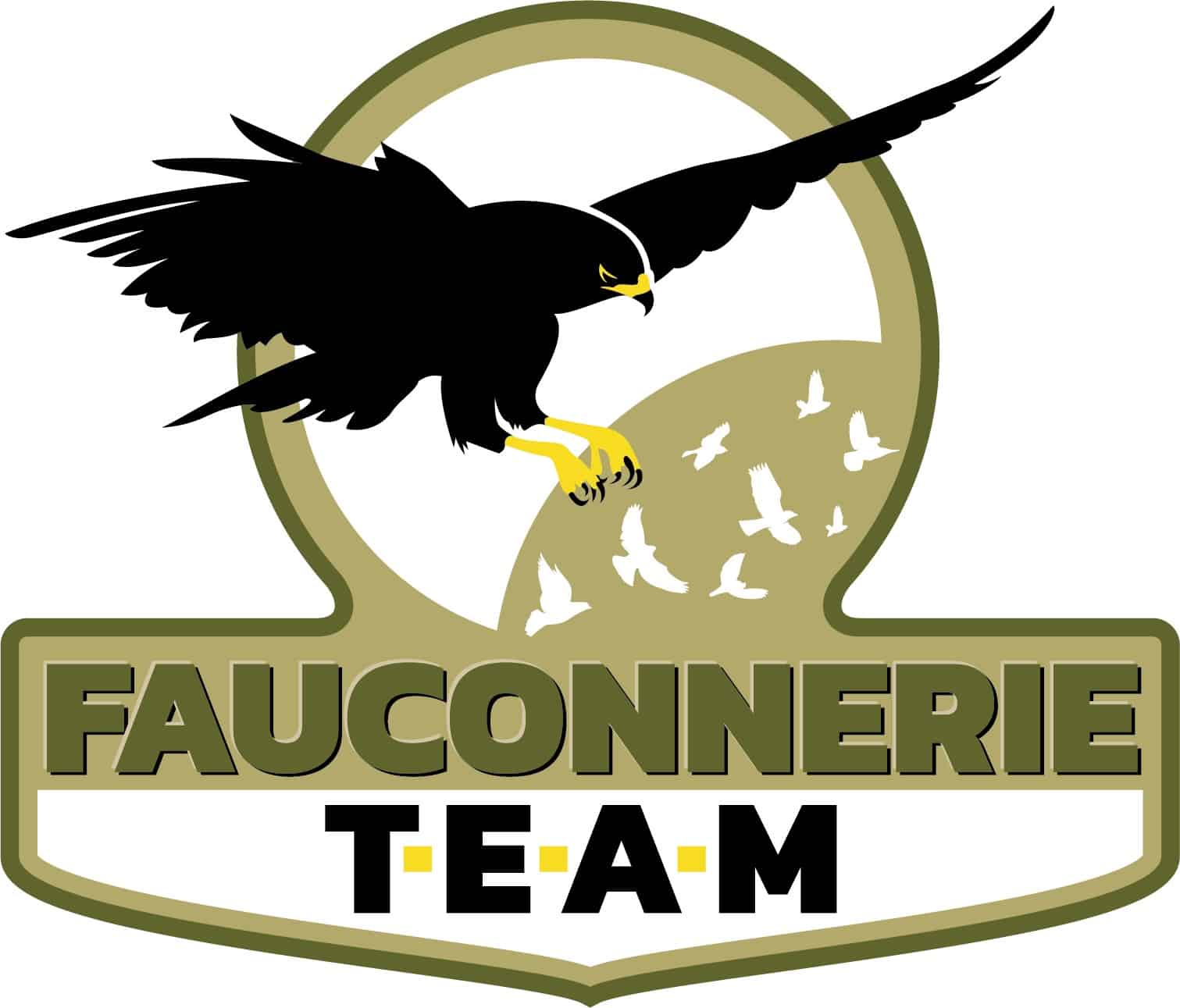 faucon