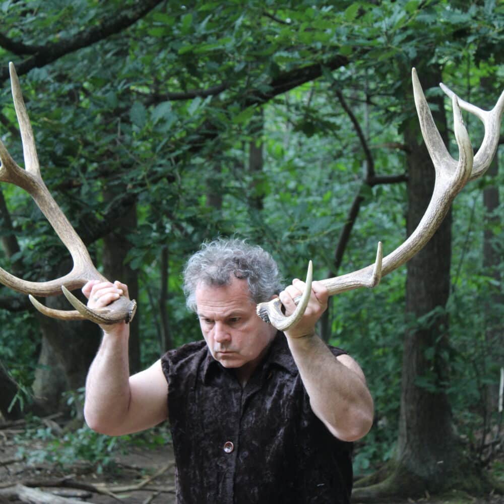 bois de cerf impromptu singe debout - Festival Ideklic