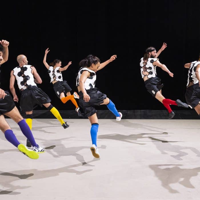 Spectacle: GOAL – Fantaisie pour passement de jambes,
Conception: Héla Fattoumi, Eric Lamoureux,  
Chorégraphie en collaboration avec les interprètes: Tristan Bénon, Meriem Bouajaja, Prunelle Bry, Mohamed Chniti, Mohamed Fouad, David Ramalho,
Centre chorégraphique national de Bourgogne Franche-Comté à Belfort,
Création musicale et jeu en live: Eric Lamoureux,
Lumières: Thierry Meyer,
Costumes: Gwendoline Bouget, 
Lieu: Viadanse, le 3/06/2024