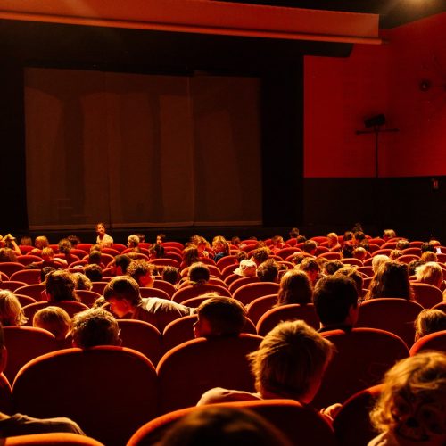 Salle de cinema et public